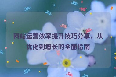 网站运营效率提升技巧分享，从优化到增长的全面指南