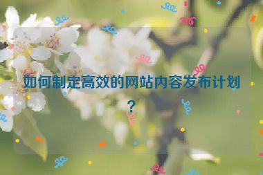 如何制定高效的网站内容发布计划？