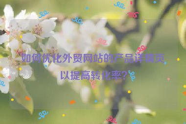 如何优化外贸网站的产品详情页以提高转化率？