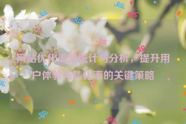 网站优化流量统计与分析，提升用户体验与转化率的关键策略