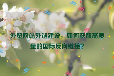 外贸网站外链建设，如何获取高质量的国际反向链接？