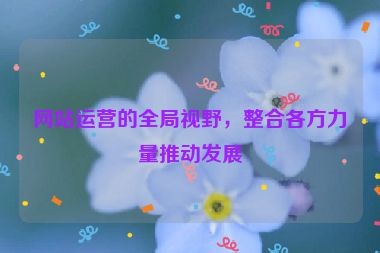 网站运营的全局视野，整合各方力量推动发展