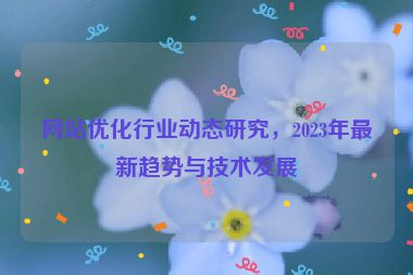 网站优化行业动态研究，2023年最新趋势与技术发展