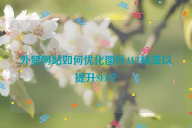 外贸网站如何优化图片ALT标签以提升SEO？