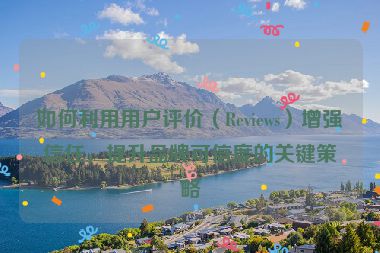 如何利用用户评价（Reviews）增强信任，提升品牌可信度的关键策略