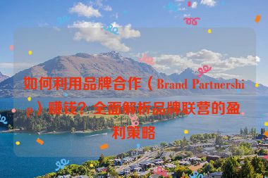如何利用品牌合作（Brand Partnership）赚钱？全面解析品牌联营的盈利策略