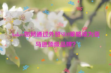 Anker如何通过外贸SEO策略成为亚马逊顶级品牌？