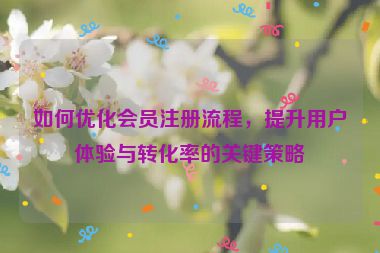 如何优化会员注册流程，提升用户体验与转化率的关键策略