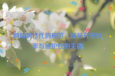 网站制作代码规范，提升开发效率与维护性的关键