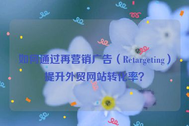 如何通过再营销广告（Retargeting）提升外贸网站转化率？