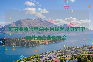 东南亚新兴电商平台崛起及其对中国外贸企业的机会