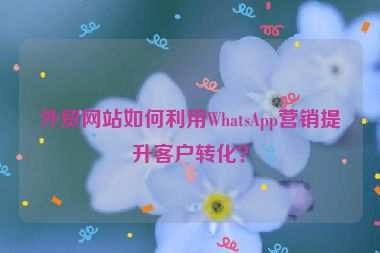 外贸网站如何利用WhatsApp营销提升客户转化？