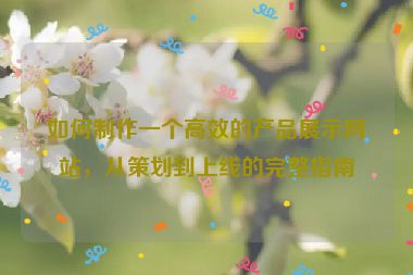 如何制作一个高效的产品展示网站，从策划到上线的完整指南