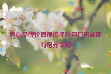 网站品牌价值观传递对用户忠诚度的培养策略
