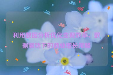 利用数据分析优化变现效率，数据驱动下的商业增长策略