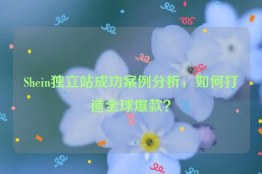 Shein独立站成功案例分析，如何打造全球爆款？