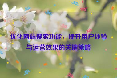 优化网站搜索功能，提升用户体验与运营效果的关键策略