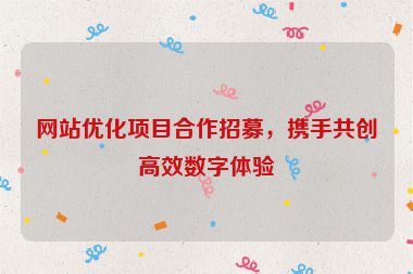 网站优化项目合作招募，携手共创高效数字体验