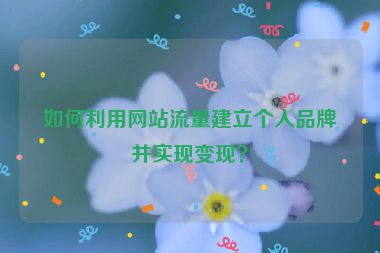 如何利用网站流量建立个人品牌并实现变现？