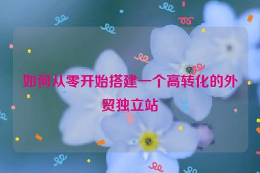 如何从零开始搭建一个高转化的外贸独立站