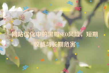 网站优化中的黑帽SEO风险，短期收益与长期危害