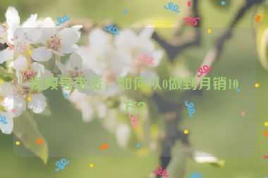 视频号带货，如何从0做到月销10万？