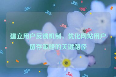 建立用户反馈机制，优化网站用户留存策略的关键路径