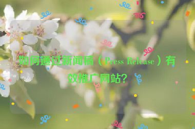 如何通过新闻稿（Press Release）有效推广网站？