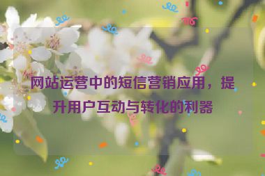 网站运营中的短信营销应用，提升用户互动与转化的利器