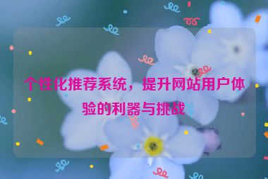 个性化推荐系统，提升网站用户体验的利器与挑战