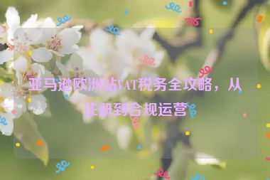 亚马逊欧洲站VAT税务全攻略，从注册到合规运营
