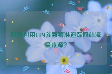 如何利用UTM参数精准追踪网站流量来源？