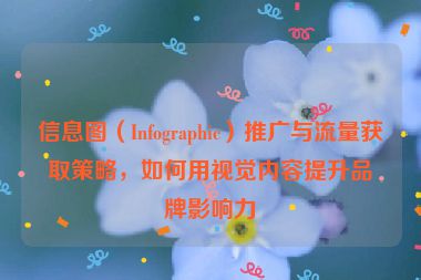 信息图（Infographic）推广与流量获取策略，如何用视觉内容提升品牌影响力