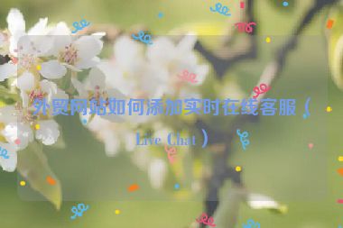 外贸网站如何添加实时在线客服（Live Chat）