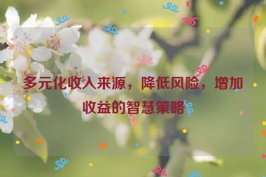 多元化收入来源，降低风险，增加收益的智慧策略