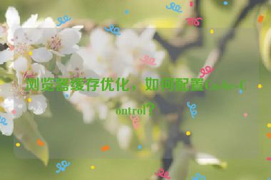 浏览器缓存优化，如何配置Cache-Control？