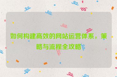 如何构建高效的网站运营体系，策略与流程全攻略