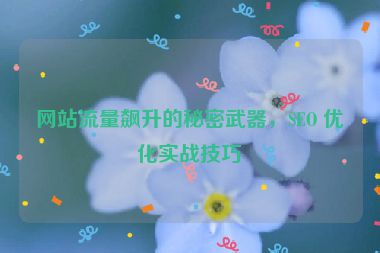 网站流量飙升的秘密武器，SEO 优化实战技巧