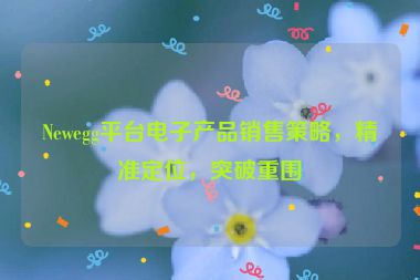 Newegg平台电子产品销售策略，精准定位，突破重围