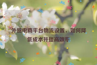外贸电商平台物流设置，如何降低成本并提高效率