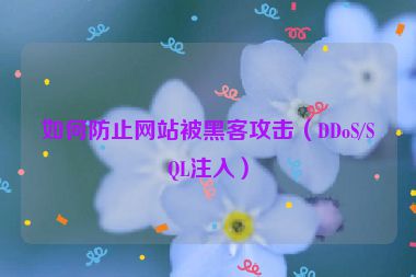 如何防止网站被黑客攻击（DDoS/SQL注入）