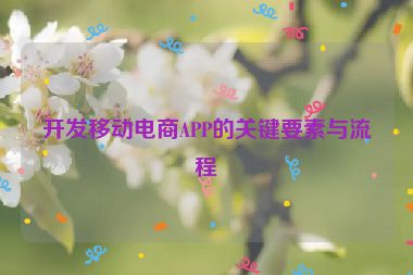 开发移动电商APP的关键要素与流程