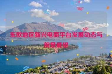 东欧地区新兴电商平台发展动态与前景展望