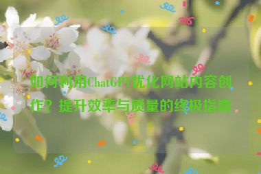 如何利用ChatGPT优化网站内容创作？提升效率与质量的终极指南