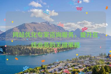 网站优化专家咨询服务，提升在线业务的关键策略