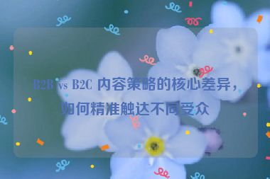 B2B vs B2C 内容策略的核心差异，如何精准触达不同受众