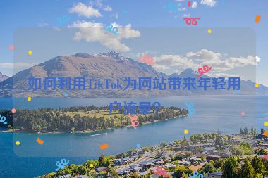 如何利用TikTok为网站带来年轻用户流量？
