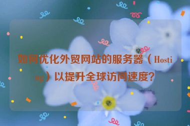 如何优化外贸网站的服务器（Hosting）以提升全球访问速度？