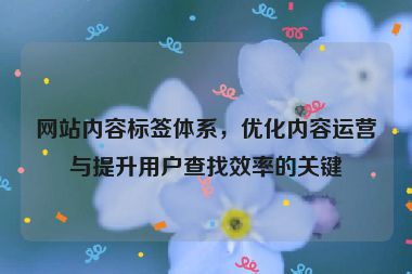 网站内容标签体系，优化内容运营与提升用户查找效率的关键