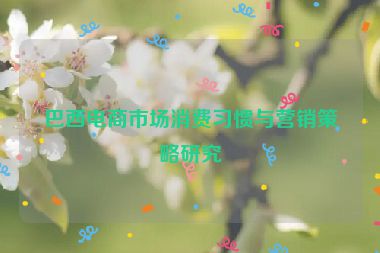 巴西电商市场消费习惯与营销策略研究